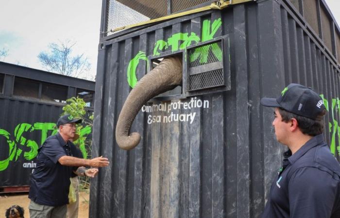 Cartel turf war forces evacuation of some 700 exotic animals in Mexico’s ‘Noah’s Ark’ rescue