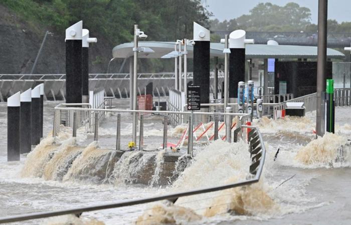 Australia floods: Death toll rises to four, tens of thousands remain stranded