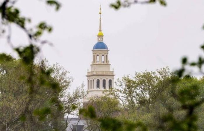 Harvard sues Trump administration for blocking foreign student enrolment
