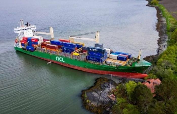 Man sleeps through massive container ship running aground on his front lawn