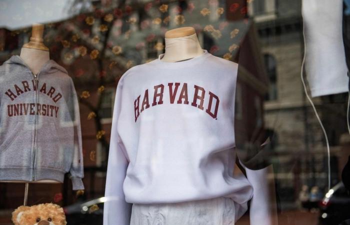 ‘Everyone’s panicking a bit’: US govt revokes Harvard’s right to enrol foreign students, university calls move ‘unlawful’