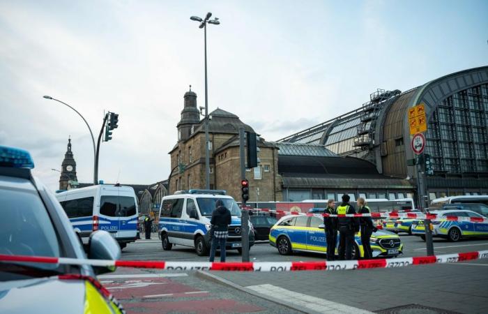 German woman faces court after Hamburg train station mass stabbing leaves 18 injured