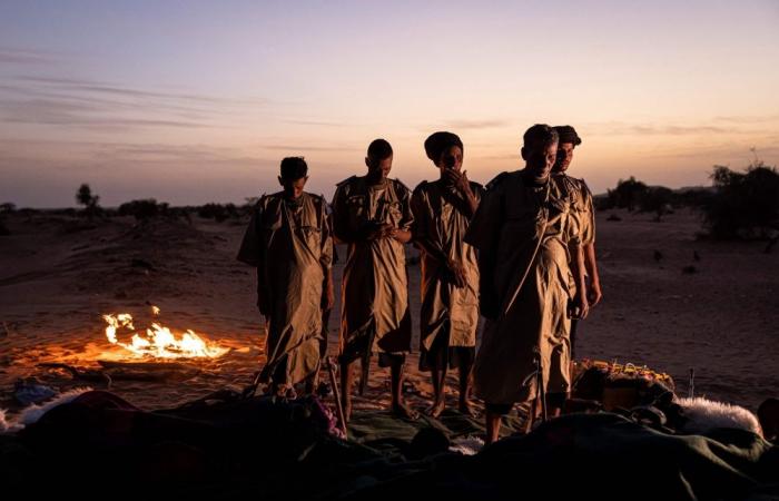 In the sands of Mauritania, camel cavalry patrols keep jihadists at bay