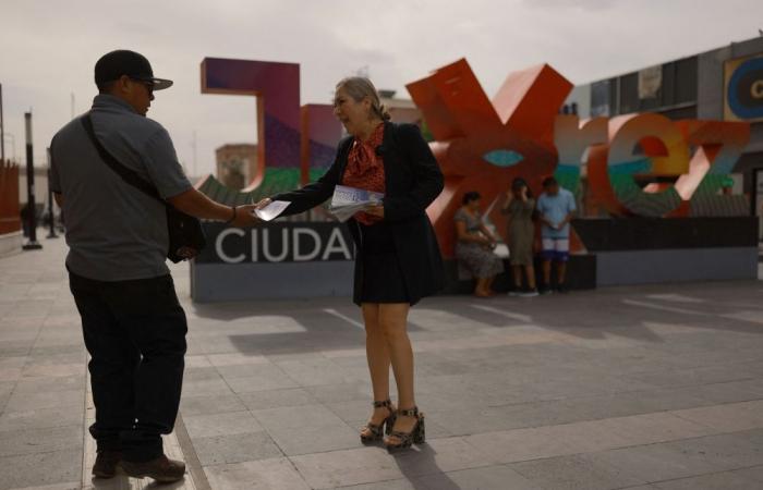 Ex-lawyer for Sinaloa Cartel boss El Chapo and former drug smuggler among candidates in Mexico’s judicial elections
