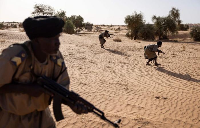 In the sands of Mauritania, camel cavalry patrols keep jihadists at bay