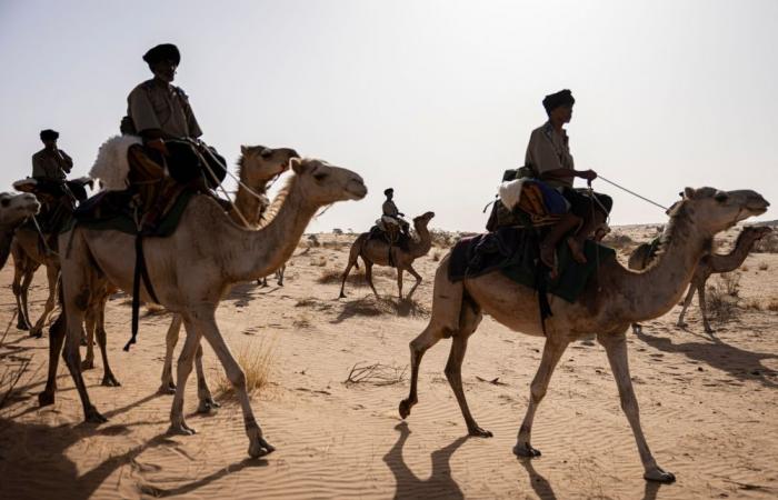 In the sands of Mauritania, camel cavalry patrols keep jihadists at bay