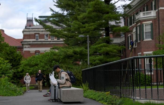 Judge blocks Trump move to bar foreign students at Harvard, calls action ‘unconstitutional’