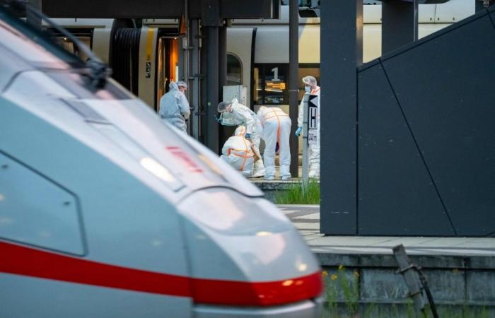 German woman faces court after Hamburg train station mass stabbing leaves 18 injured