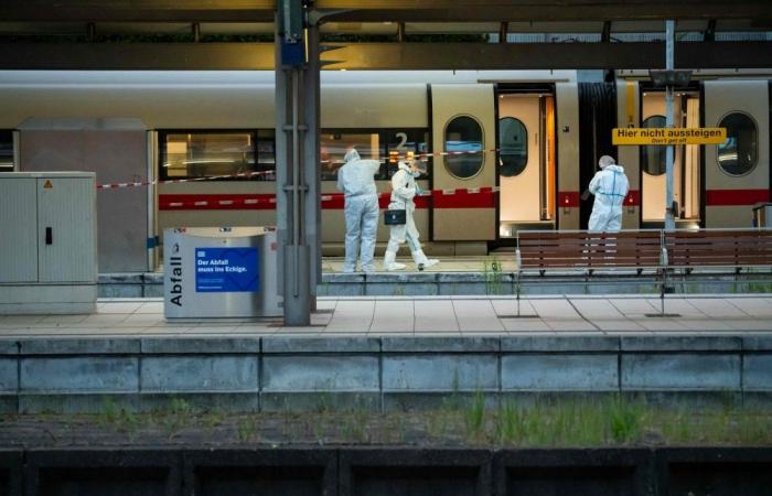 German woman faces court after Hamburg train station mass stabbing leaves 18 injured
