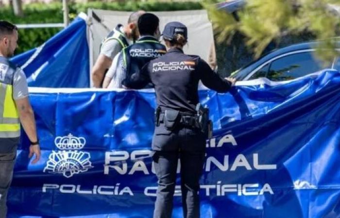Controversial ex-Ukrainian official shot dead in Madrid