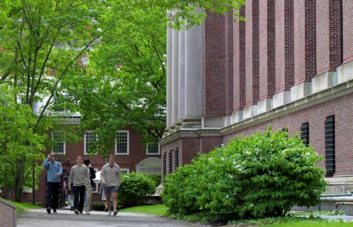 ‘Harvard refugee’: Chinese students hunker down as US blocks foreign enrolment