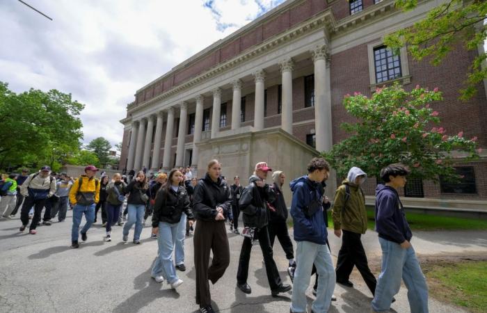 Trump ‘reckless’ move to block Harvard’s foreign students sparks outcry over threat to US soft power, global influence
