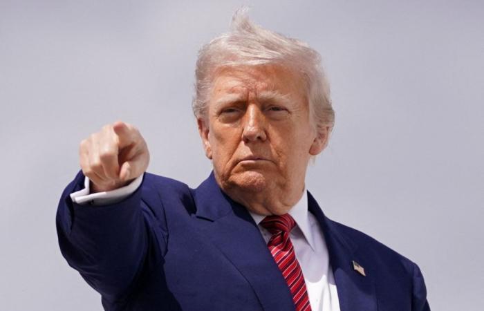 US disaster relief agency chief was set to be fired before public break with Trump