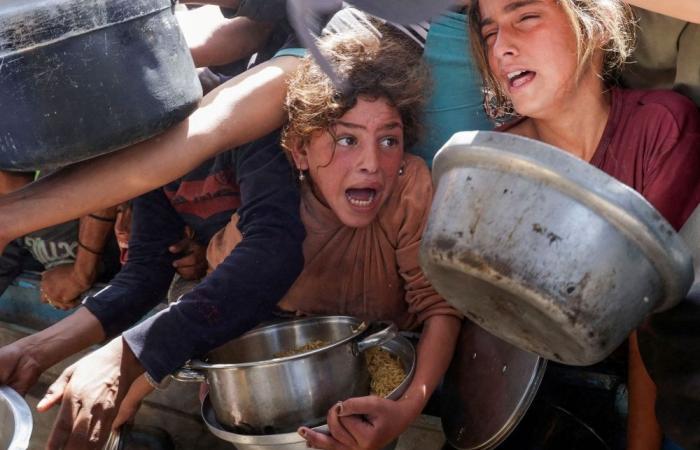 No UN support, no neutrality: Head of US-funded Gaza aid group quits, says mission can’t meet ‘humanitarian principles’