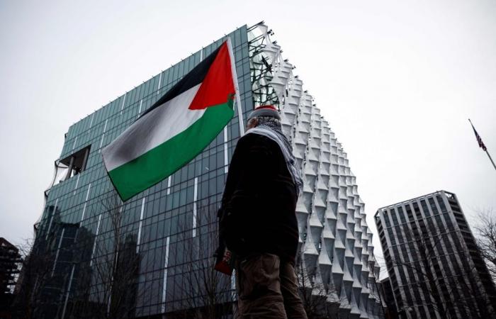 Palestinian flag to fly at WHO after key vote at World Health Assembly, Malaysia among backers