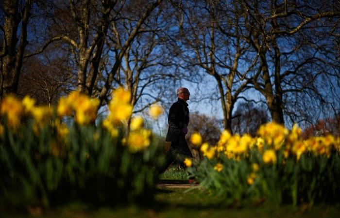 UK records sunniest spring ever with 630 hours of sunshine, beating 2020 record