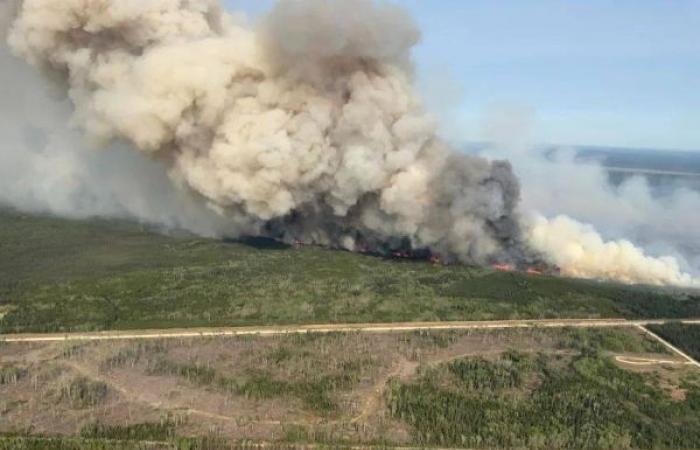 Hazardous smoke to pour into the US as Canada wildfires force largest evacuation in ‘living memory’