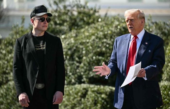 Elon Musk's rocket-fuelled ride with Trump flames out