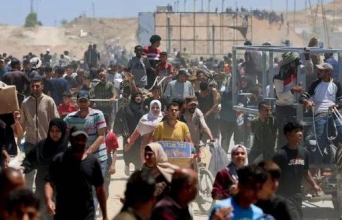 Gaza subjected to forced starvation, top UN official says 