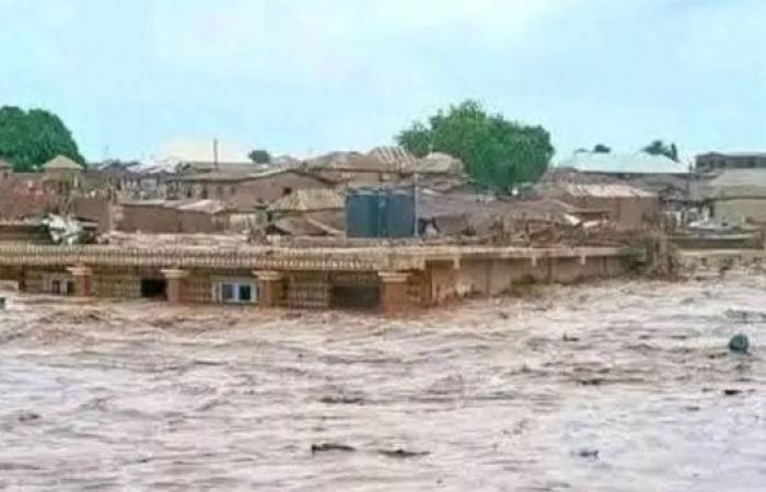 At least 88 people dead after floods submerge market town in Nigeria