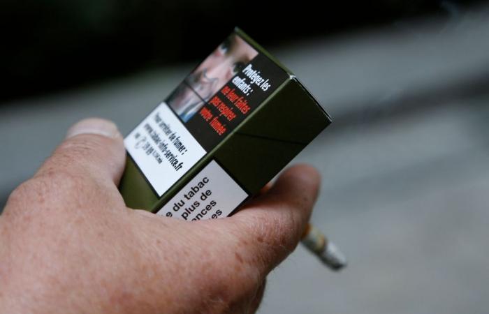 ‘Where there are children, tobacco must disappear’: France bans smoking in parks, beaches and near schools from July 1