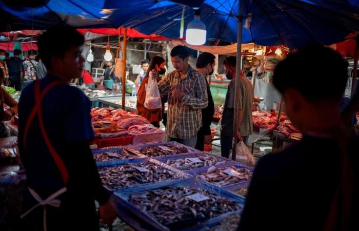 Broken promises, bitter voters: Thailand’s stalled cash handout backfires on ruling party