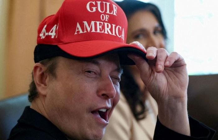 DOGE in disarray: Leadership vacuum looms large after Musk exit