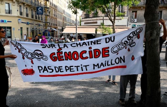 French-Israelis, accused of blocking Gaza aid, face genocide inquiry in France