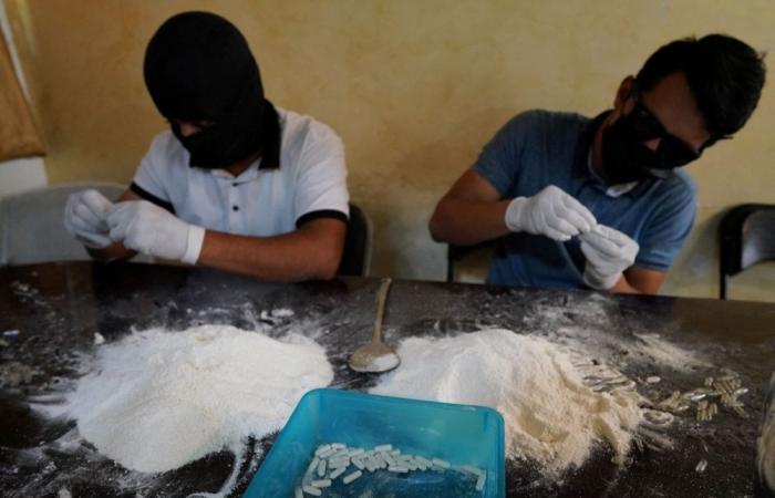 Mexico seizes 42 tonnes of meth in major drug lab raids amid US pressure