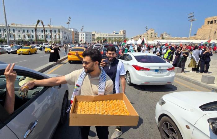 March to Gaza halted in Egypt as authorities crack down on activists