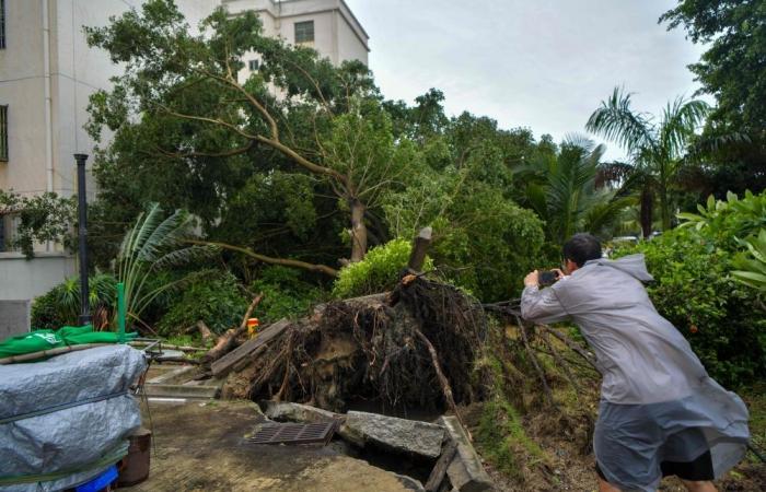 Death toll rises to five, two missing as Typhoon Wutip floods submerge farmland in Vietnam