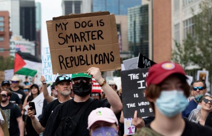 No kings, just quips: Protesters roast Trump with cardboard sass