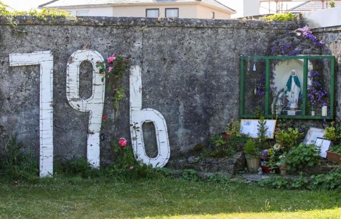 ‘Dirty little secrets’: Ireland to begin long-awaited excavation of mother and baby home ‘mass grave’ site