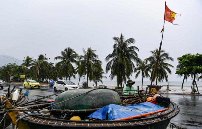 Central Vietnam reels from floods as Typhoon Wutip kills seven, devastates 60,000ha farmland