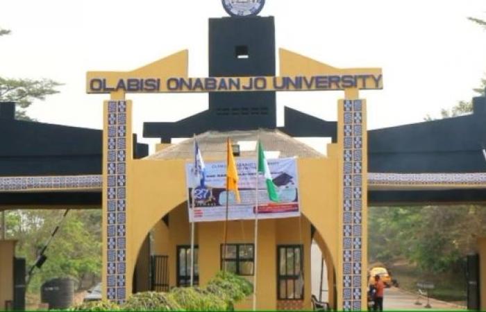 Nigerian university sparks outrage as staff check whether female students are wearing bras before exams