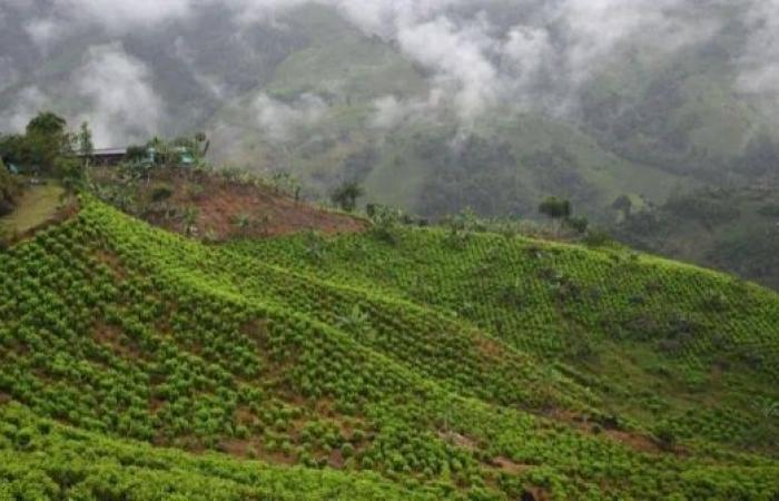 Dozens of soldiers seized in Colombian mountains