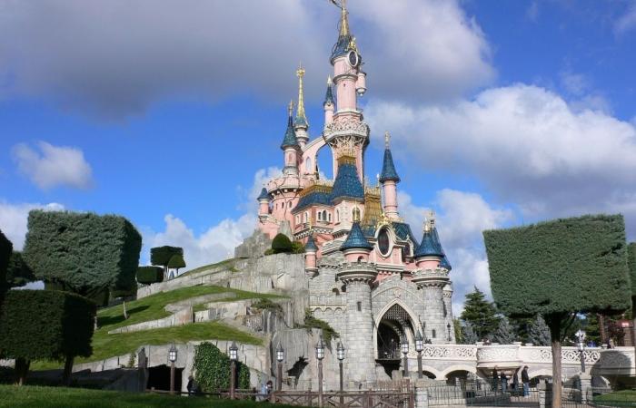 Disneyland Paris hosts €130,000 staged wedding for Ukrainian girl, now ‘groom’ and organiser under fraud probe