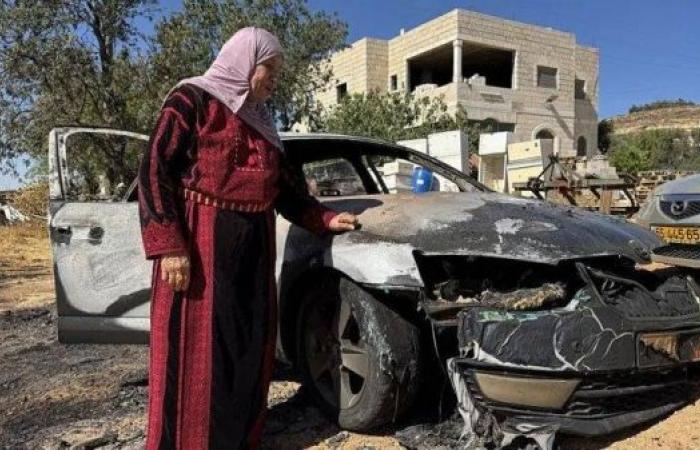 Three Palestinians killed during Israeli settler attack on West Bank village