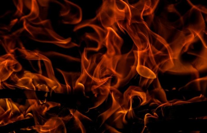 ‘Act of love’? French woman who burned grandfather alive gets five-year prison sentence