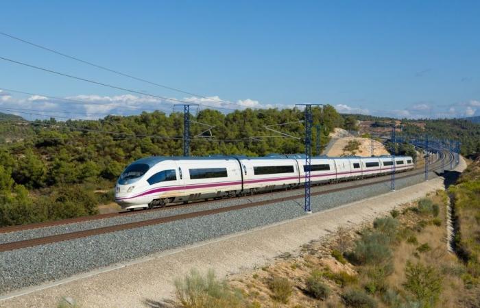 Power cable failure strands high-speed trains between Spain’s Madrid and Andalusia amid heatwave