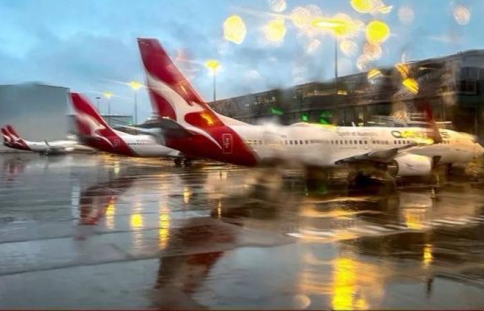 Qantas cyber hack could have stolen ‘significant’ amount of data from six million customers
