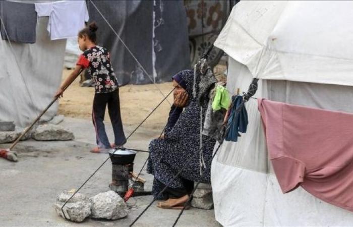 UNRWA calls for urgent fuel delivery to Gaza to prevent shutdown of basic services