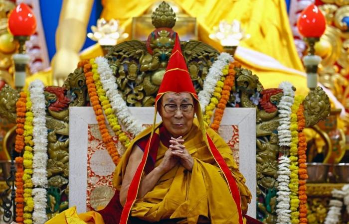 Who needs a successor? Dalai Lama tells followers he may live to 130