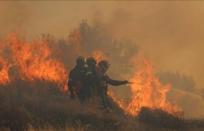 State of emergency declared in Crete after wildfire devastates Ierapetra