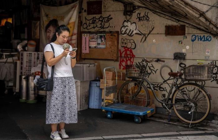 ‘Once-in-a-decade’ heatwave grips Japan, alerts issued after Tokyo breaches safe limits