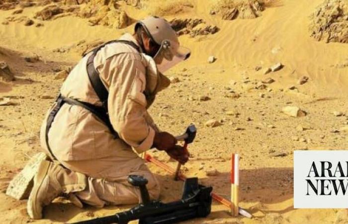 Saudi project clears 1,559 mines in Yemen
