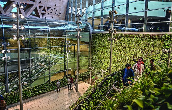 Grant helps nonprofits to create green jobs