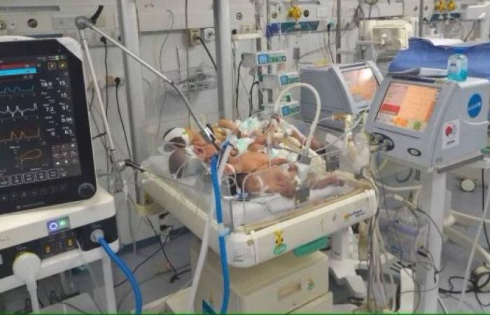 Desperate Gaza doctors cram several babies into one incubator as fuel crisis reaches critical point