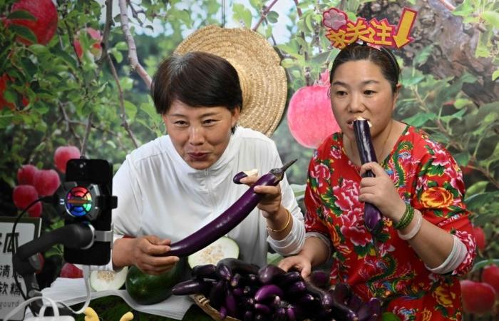 ‘Can’t stick to old-fashioned farming’: China’s rural growers embrace livestreaming revolution