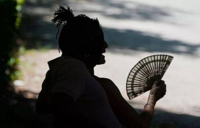 Climate change tripled death toll of latest European heatwave, says study